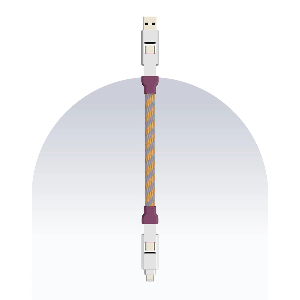 4 in 1 65W Payal Singhal Edition Cable 4 Ft